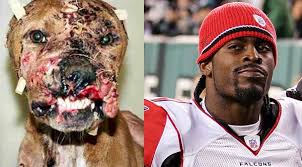 Image <b>Michael Vick</b>: Picture