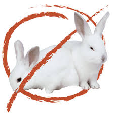 cosmetics testing on animals