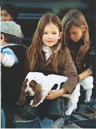 Ralph Lauren Image <b>Ralph< b> <b>Lauren< b> 1 Basset Puppies animal ... Picture 5