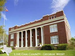 Live Image <b>Live< b> Oak.jpg Picture 1