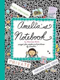 Amelia x26s Notebook