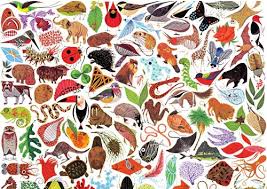 Charley Harper is the subect of a 