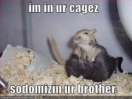 im in ur cagez sodomizin ur brother