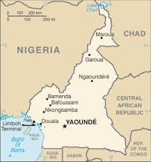 cameroon; pasture forage