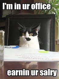 I m in ur office earnin ur salry