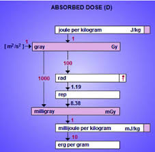 the absorbed dose is the