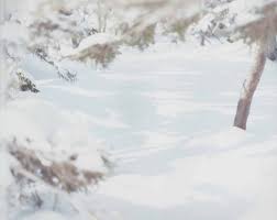 Photos of the largely white snow