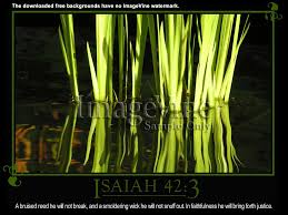 To download the FREE Backgrounds