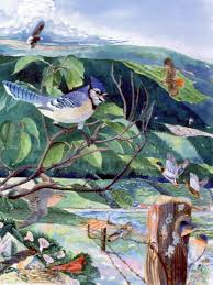 Birds Diversity Poster