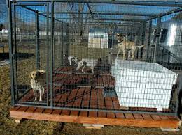 Dog Kennel Floor Wood vs Concrete
