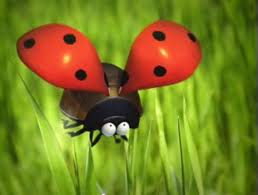 combustion_45b7f445f30ff.jpg (www.cpluv.com)