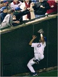 Steve Bartman