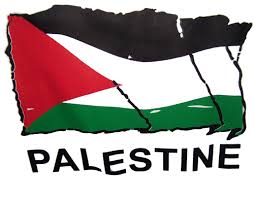 Palestine Flag T shirt