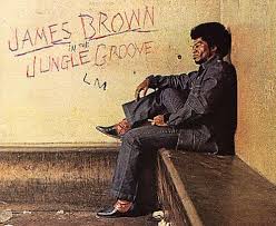 Image <b>James Brown</b> :: The Funky Picture
