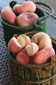 Image ‘Saturn’ <b>peaches</b> have white flesh <b>...</b> Picture