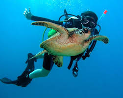 hawaii, scuba diving
