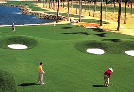 Golf Timeshare