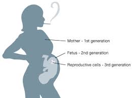 conditions ( diet , toxins,