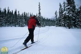 Cross Country Skiing