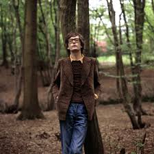 Image Jarvis Cocker and Picture