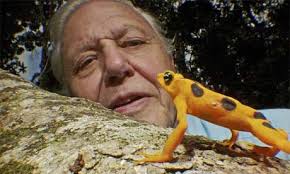 David Attenborough: a dying breed of ...