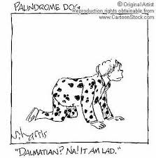 Palindromes cartoon 3 - catalog 