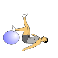 http://images.google.com/images?q=tbn:w99rr9YcvPbBmM:http://www.fitnessgenerator.com/images/exercises/Swiss_Ball_Single_Hip_Extension.gif