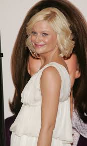 Image <b>Amy Poehler's</b> gonna be a 'Baby Picture