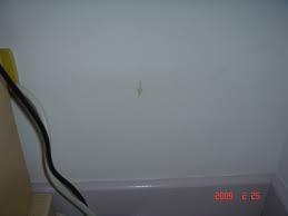 49a554118a8fe.jpg (djboylee.pixnet.net)