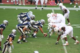 the Rice University Owls,