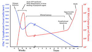 Secondly, no shit people dont die