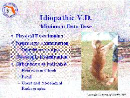 the peripheral vestibular signs