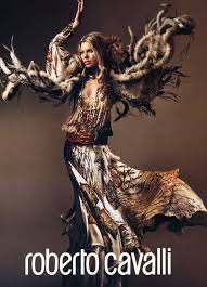 Image A Roberto Cavalli Picture