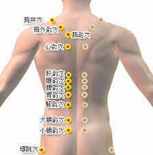 499687f0c8beb.jpg (fjsw1984.pixnet.net)