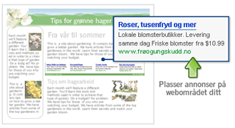 AdSense