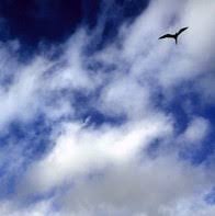 تصویر در شعر نو امروز