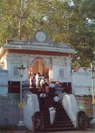 Sri Maha Bodhi