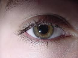 eye.jpg