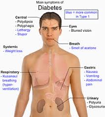 http://www.4to40.com/images/ayurveda/Diabetes_mellitus/Diabetes_mellitus_body_layout.gif